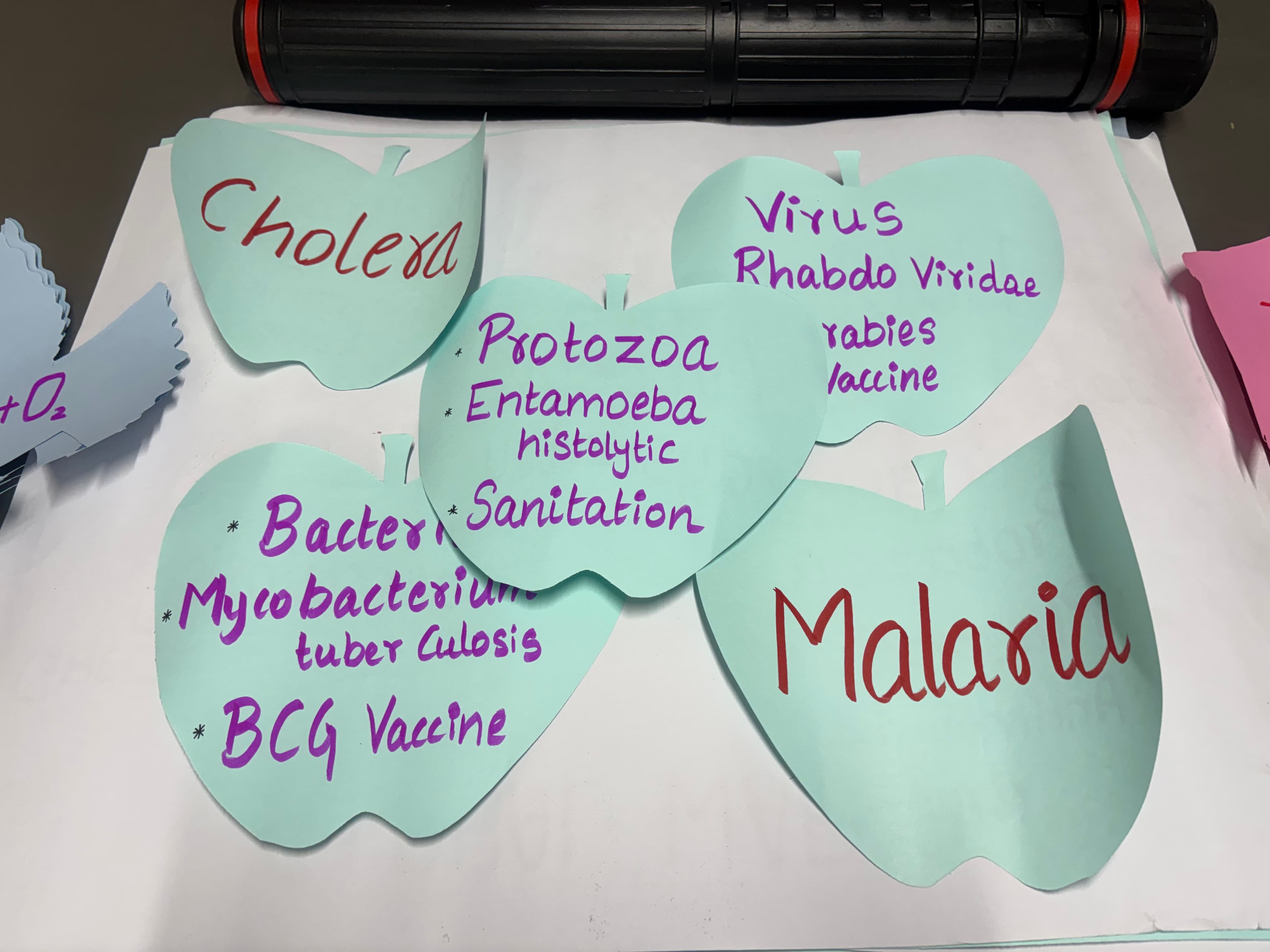 Flash Cards for Biology (TLM)
